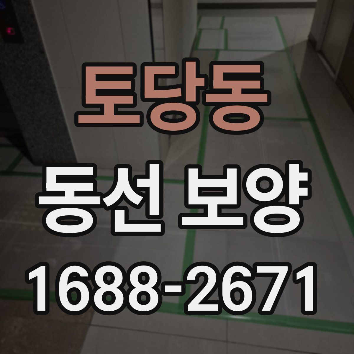 토당동 동선 보양 비용은 무엇에 따라 달라질까