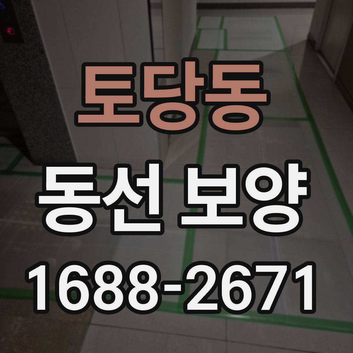 토당동 동선 보양