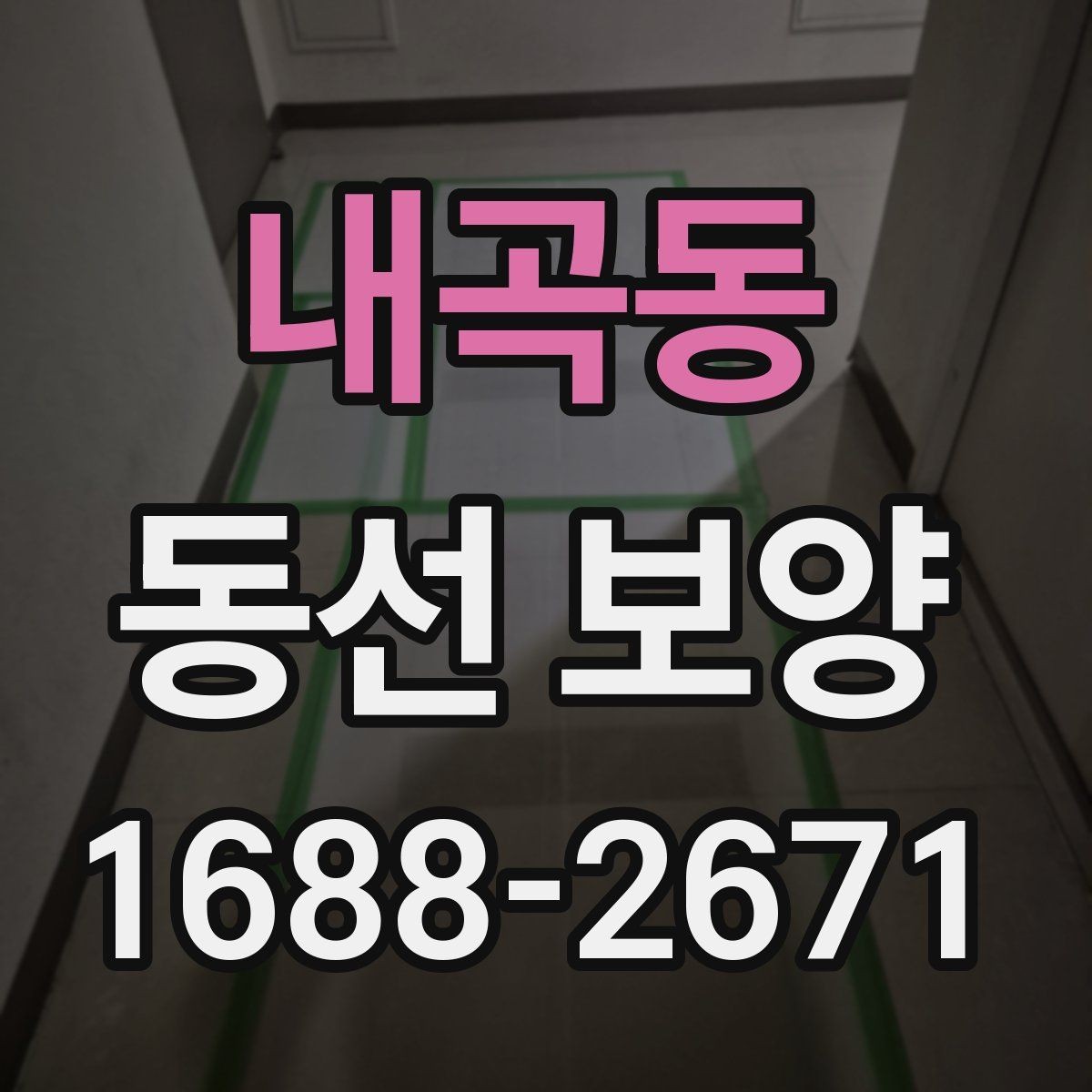 내곡동 동선 보양 진행 중 생길 수 있는 문제와 대응