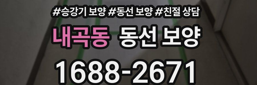 내곡동 동선 보양