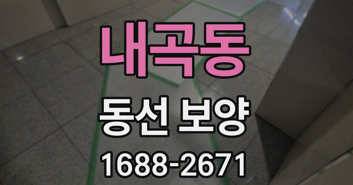내곡동 동선 보양