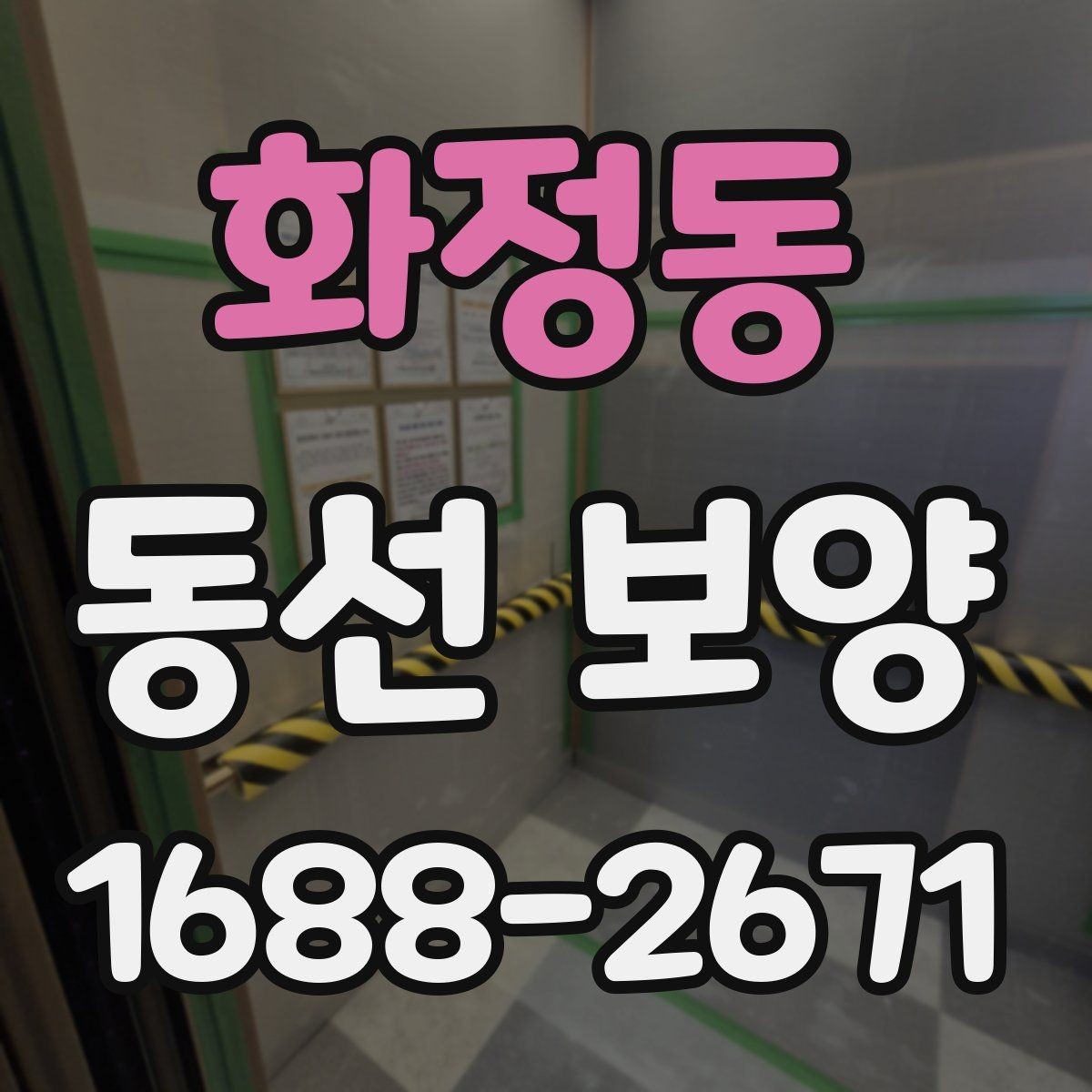 화정동 동선 보양 후 보수와 관리가 필요한 경우