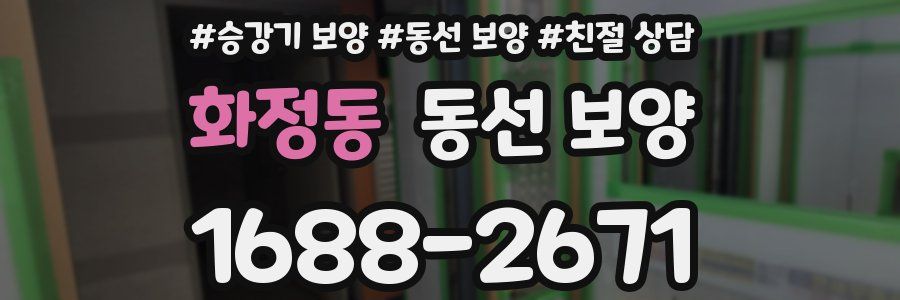 화정동 동선 보양