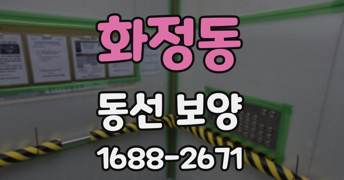 화정동 동선 보양