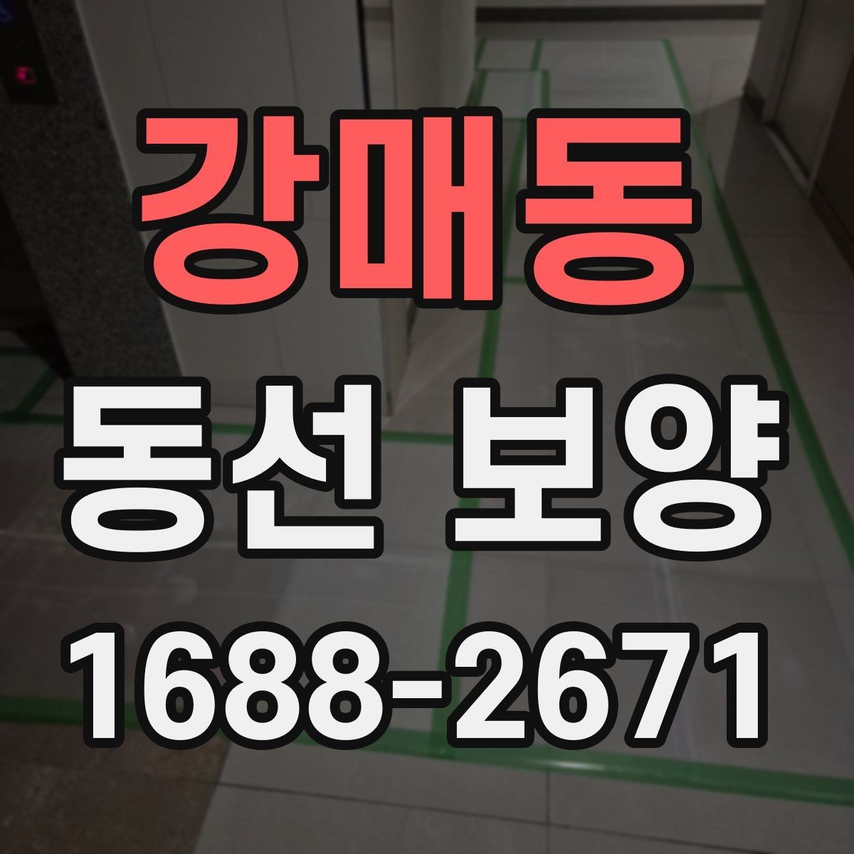강매동 동선 보양 공정별 체크포인트 정리