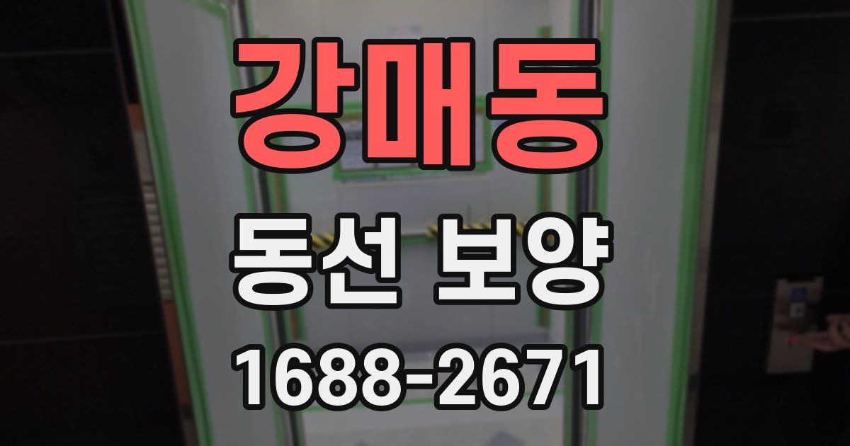강매동 동선 보양