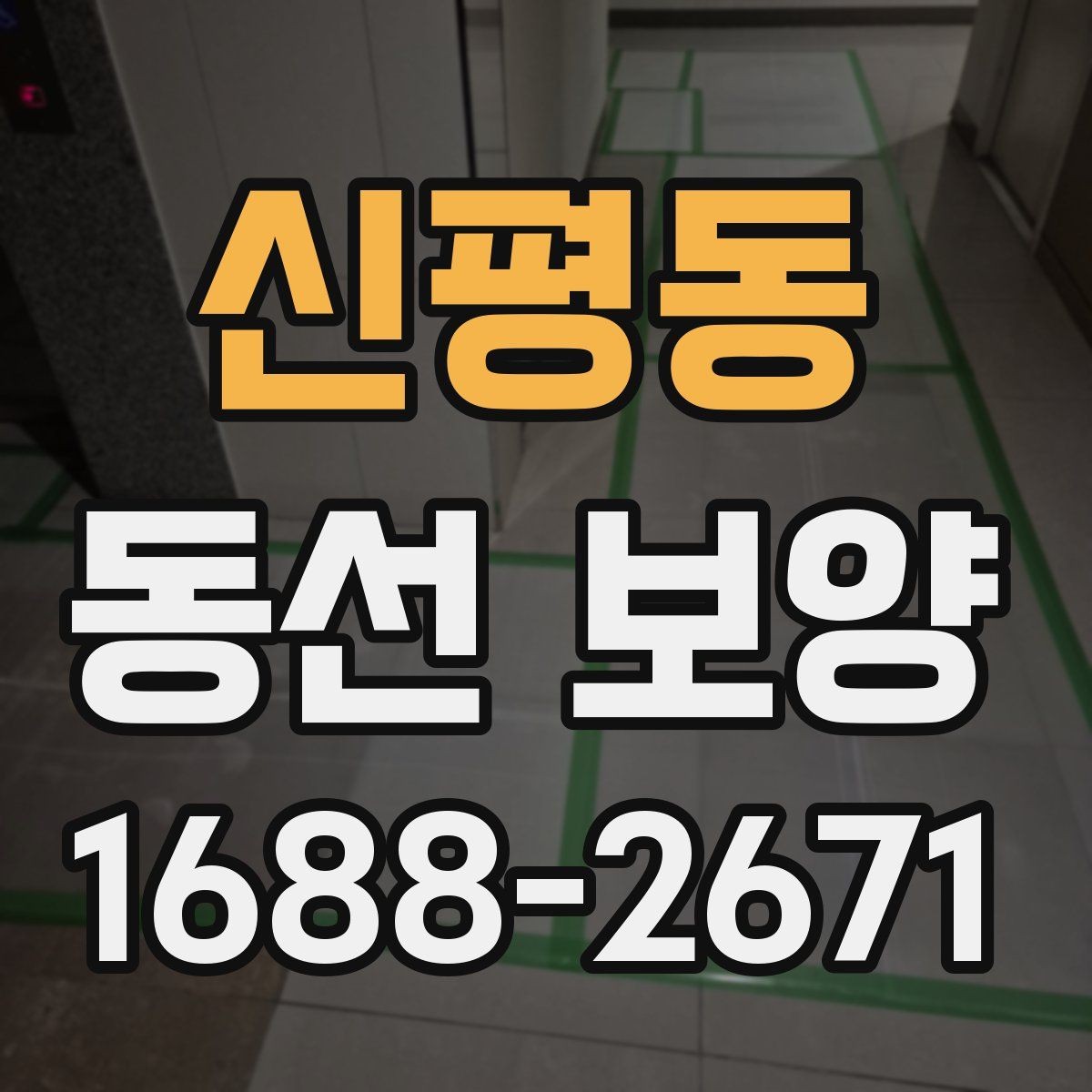 신평동 동선 보양 작업 전후로 비교해 보는 변화