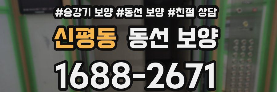 신평동 동선 보양