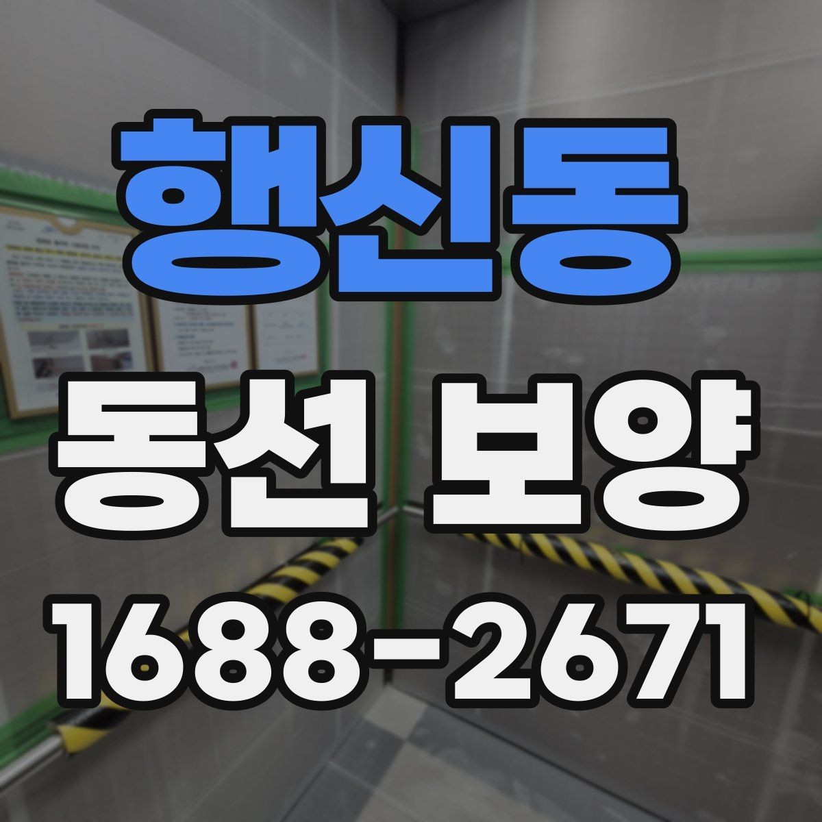 행신동 동선 보양 작업을 진행할 때 주의할 점