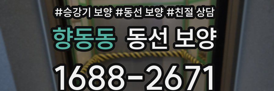 향동동 동선 보양
