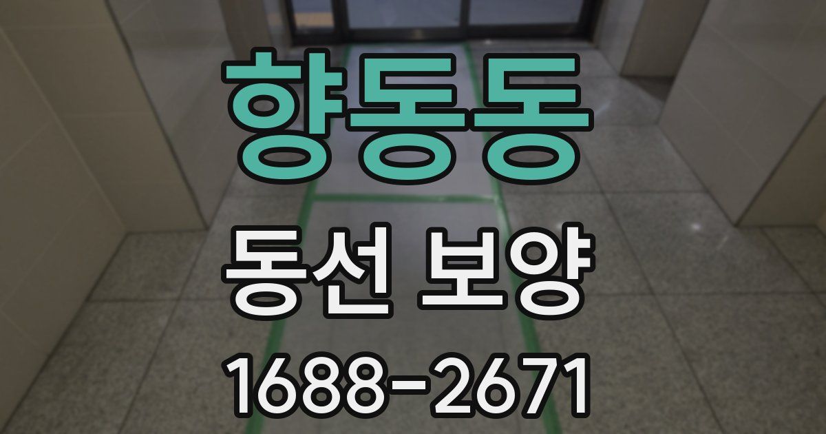 향동동 동선 보양