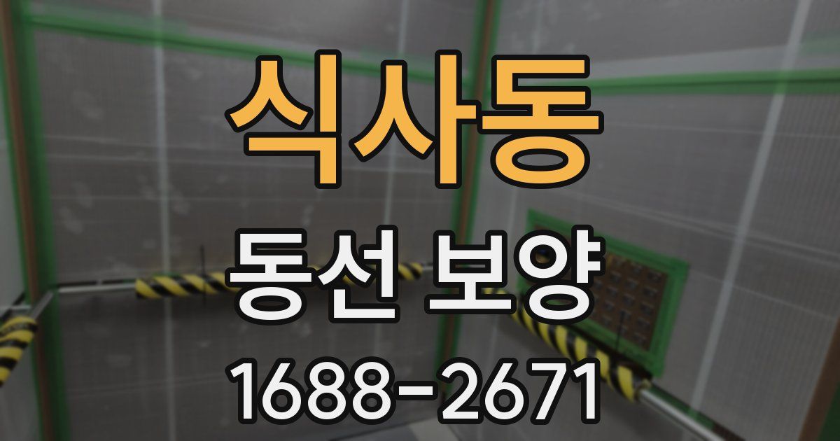 식사동 동선 보양