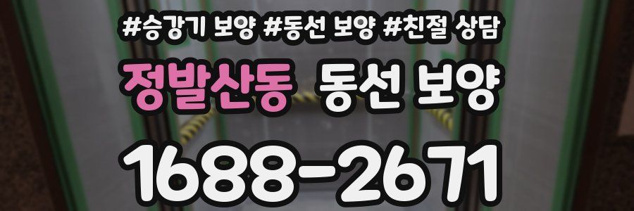 정발산동 동선 보양