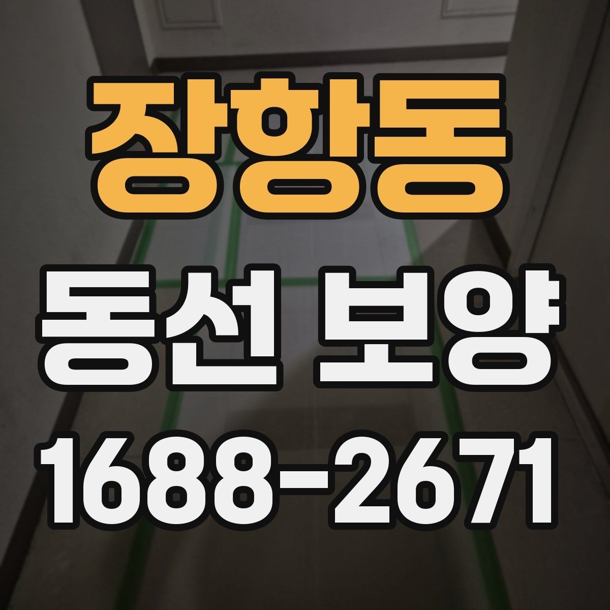 장항동 동선 보양 시공 전 협의가 중요한 이유