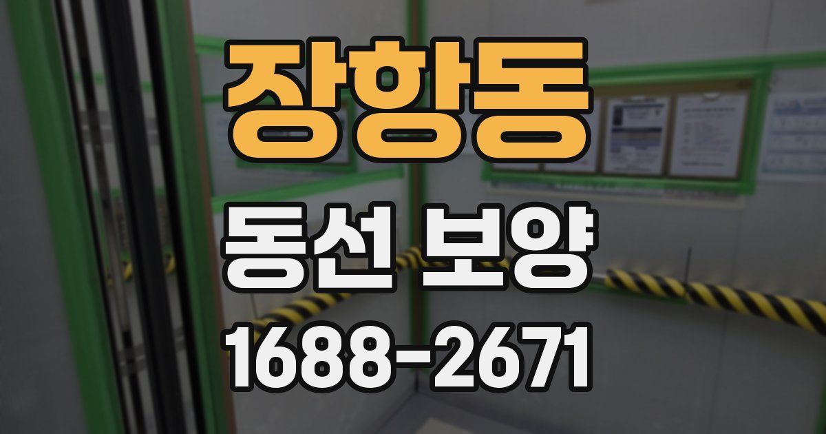 장항동 동선 보양