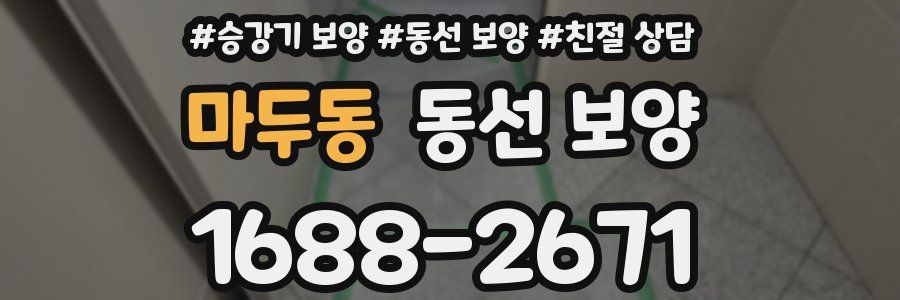 마두동 동선 보양