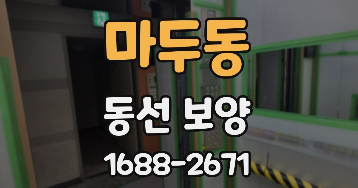 마두동 동선 보양