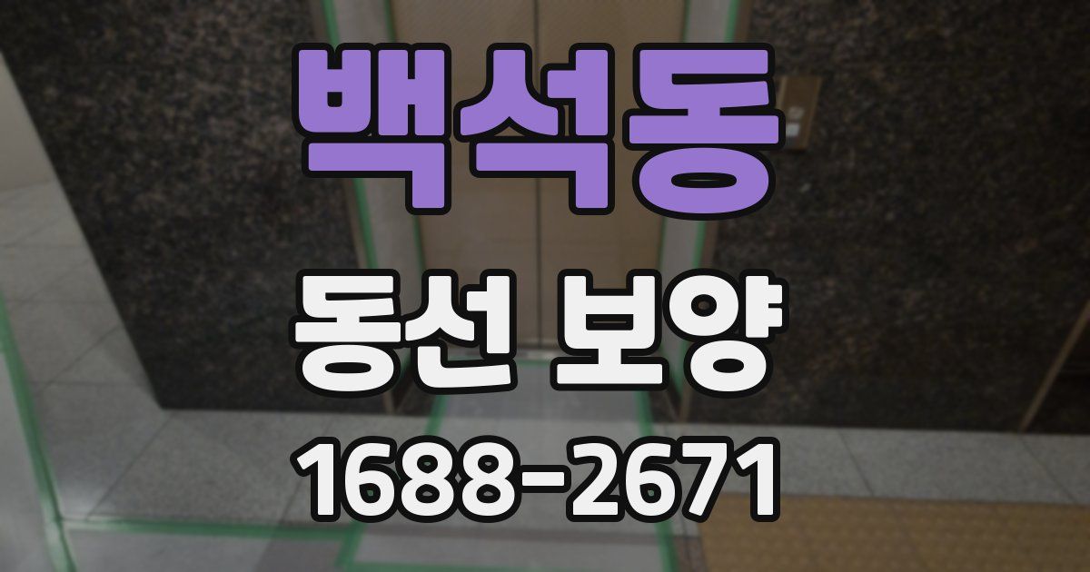 백석동 동선 보양