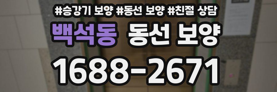 백석동 동선 보양