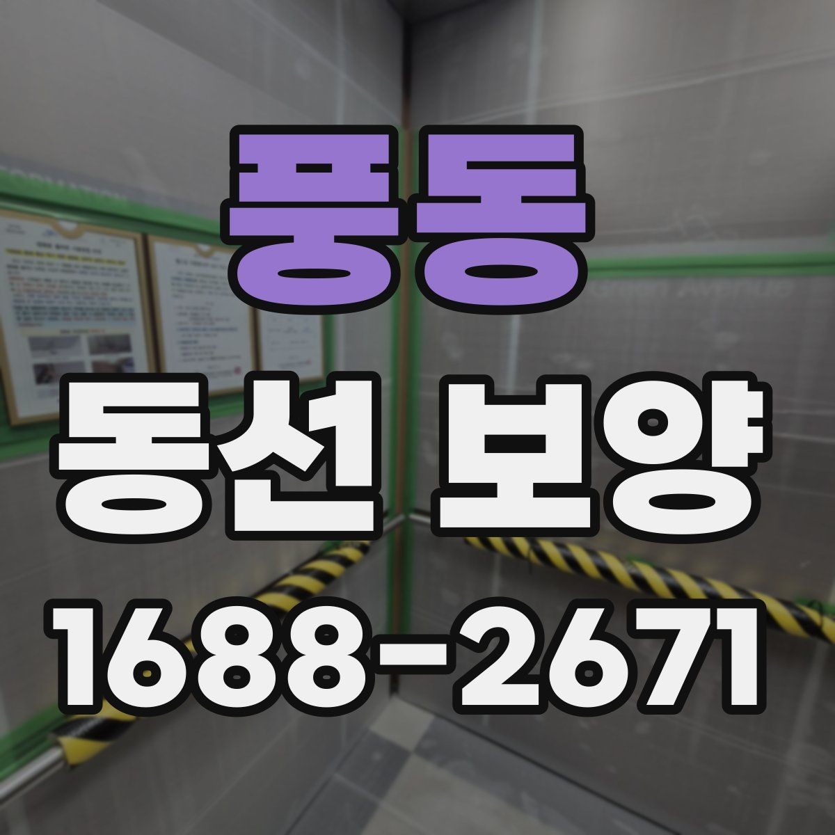 풍동 동선 보양 선택 전 비교해야 할 항목들