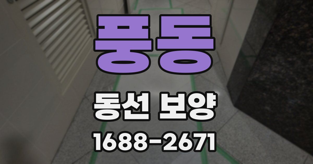 풍동 동선 보양