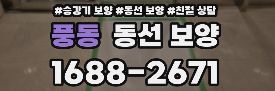 풍동 동선 보양