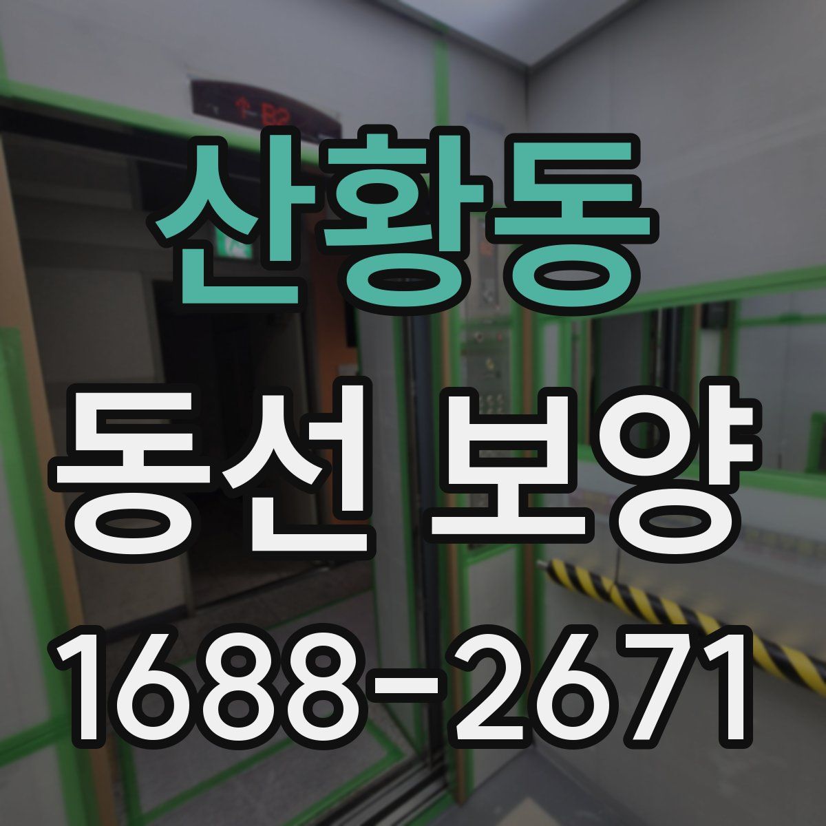 산황동 동선 보양