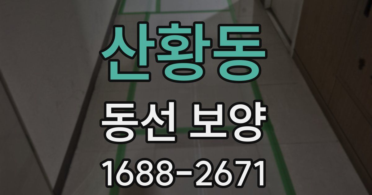 산황동 동선 보양