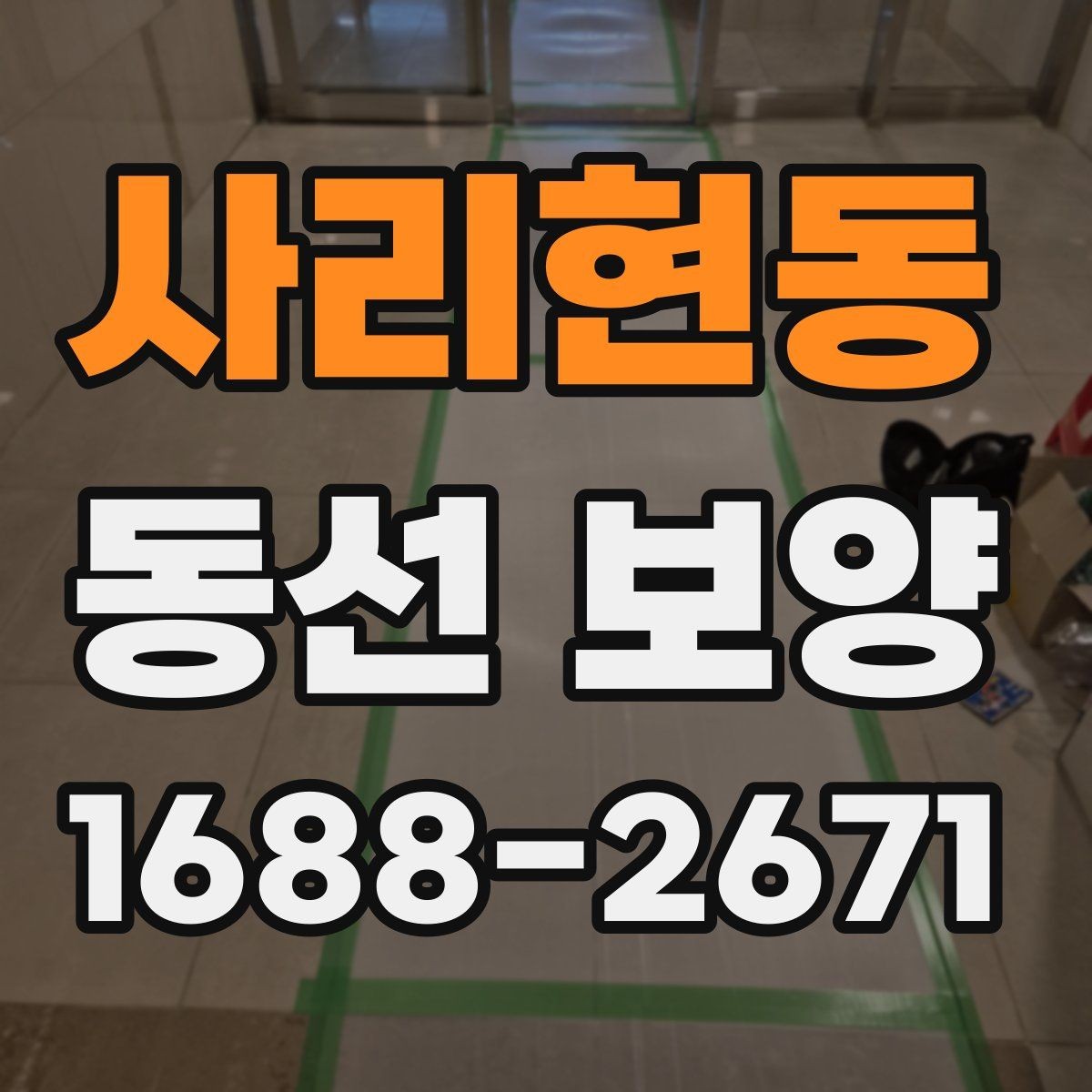 사리현동 동선 보양 과정에서 자주 놓치는 부분