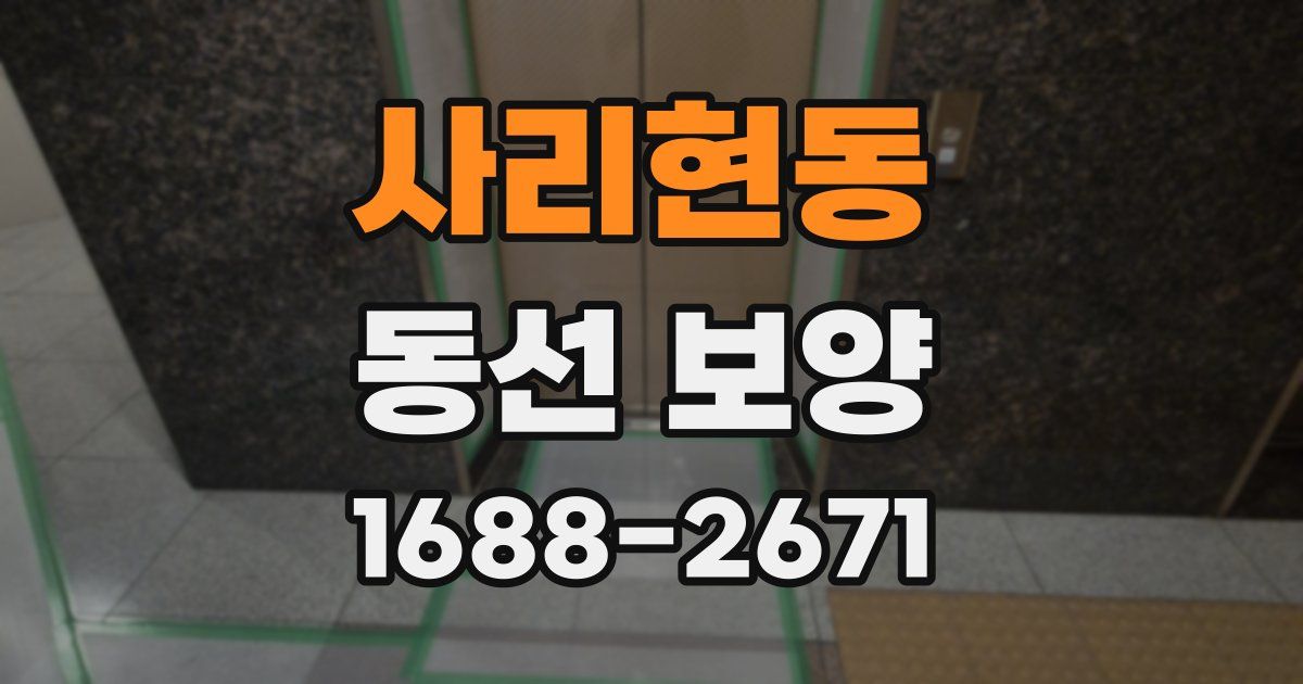 사리현동 동선 보양