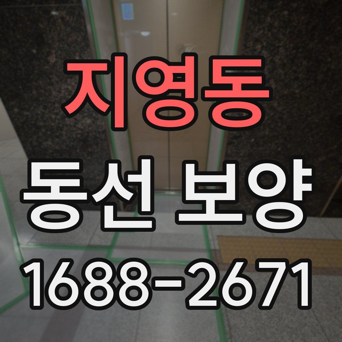 지영동 동선 보양 시공 전후 관리 방법