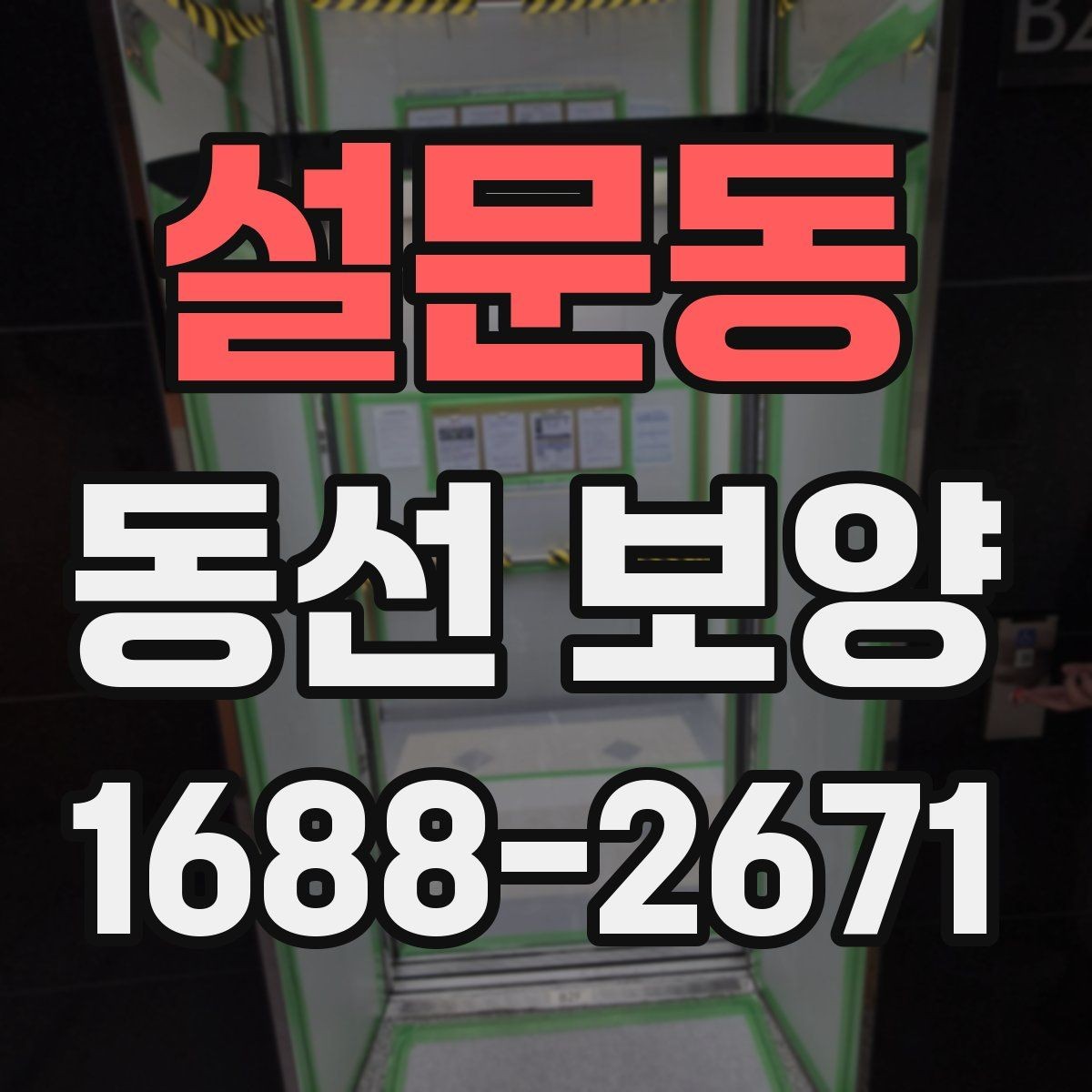 설문동 동선 보양 후 유지 관리를 고려한 선택