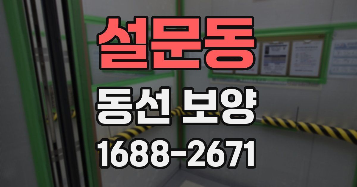 설문동 동선 보양