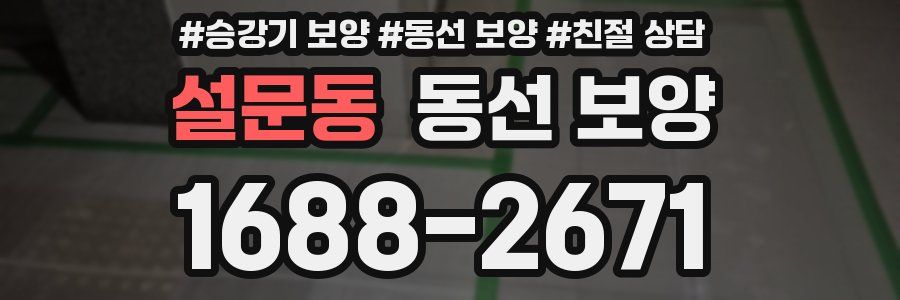 설문동 동선 보양