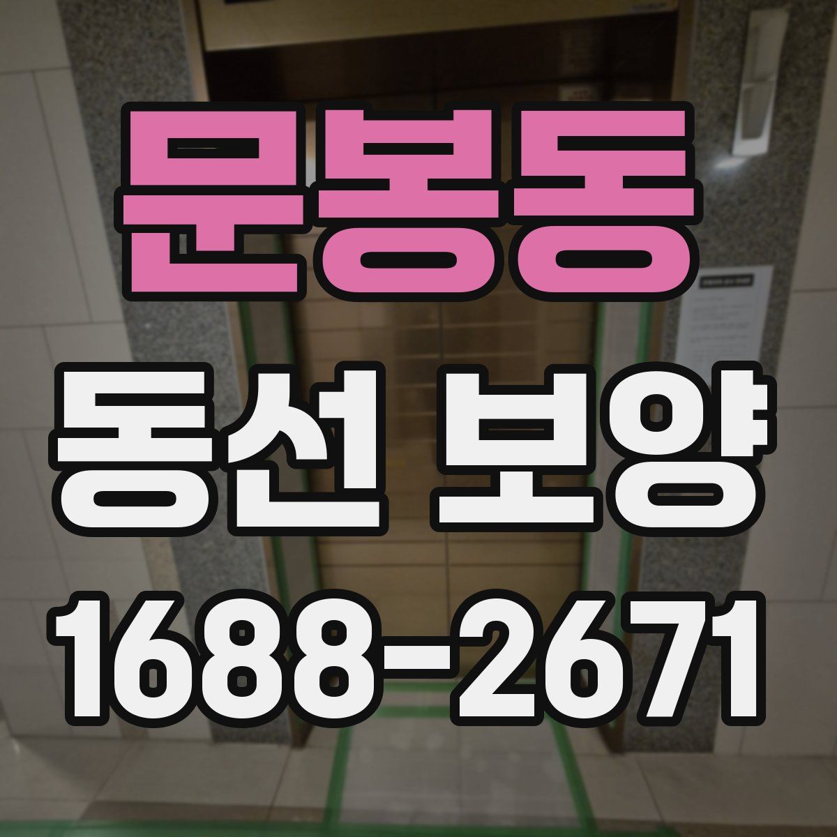 문봉동 동선 보양