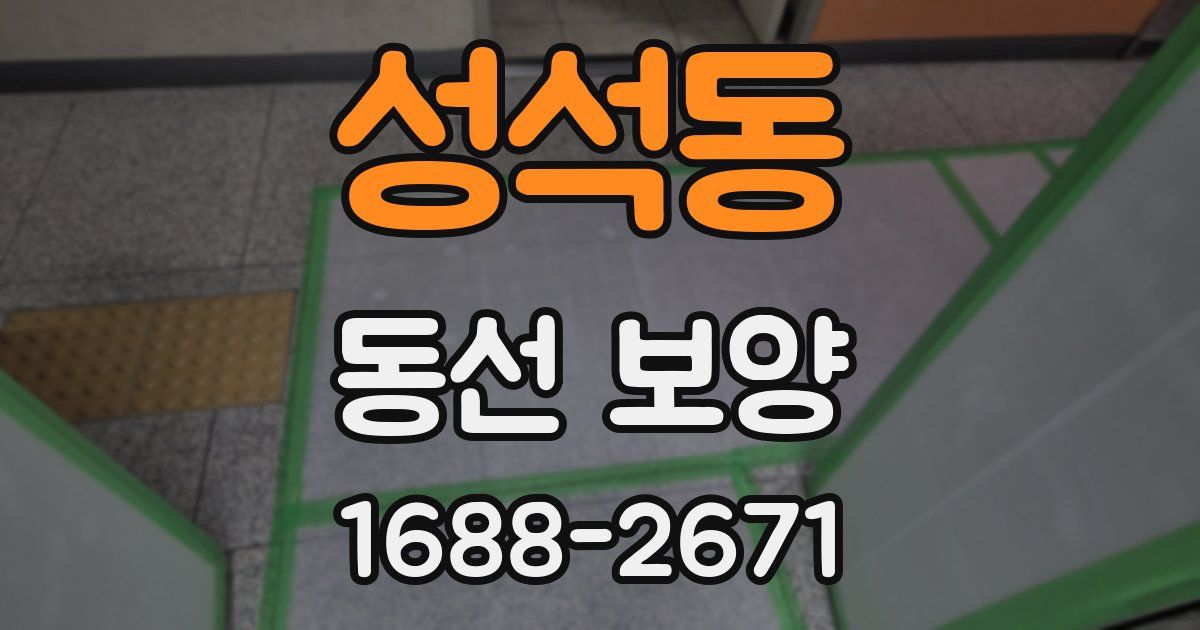 성석동 동선 보양