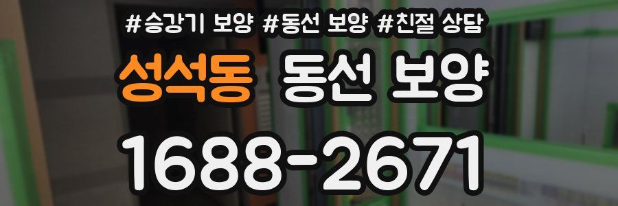 성석동 동선 보양