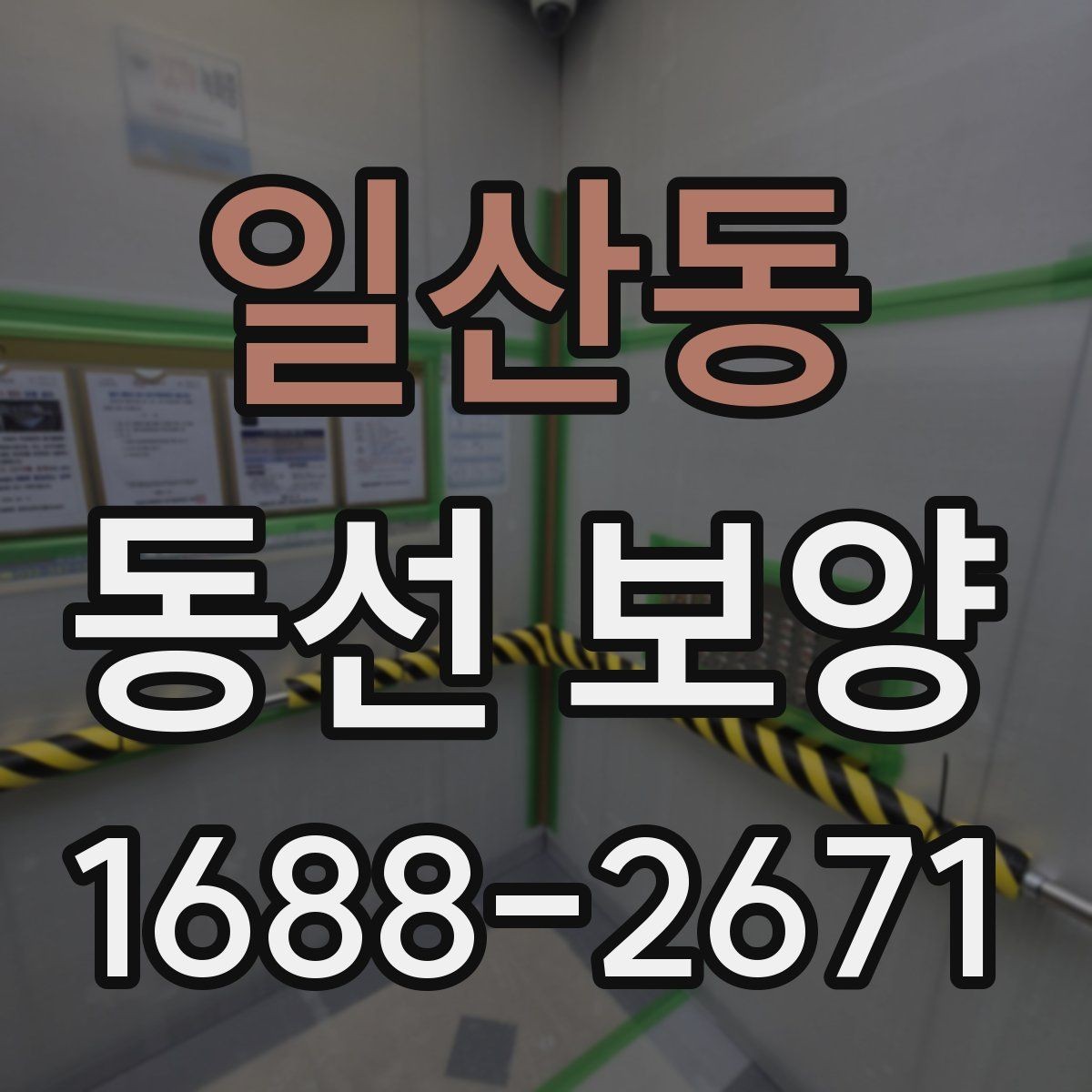 일산동 동선 보양 과정에서 발생할 수 있는 문제