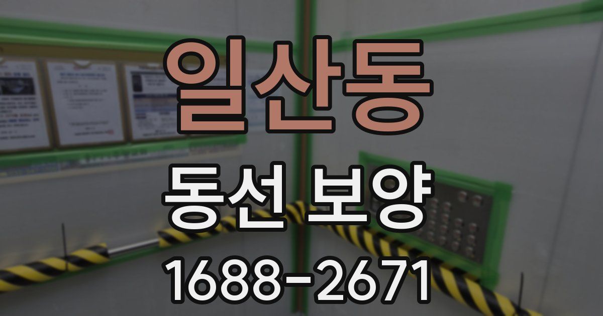 일산동 동선 보양