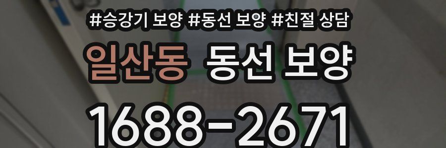 일산동 동선 보양