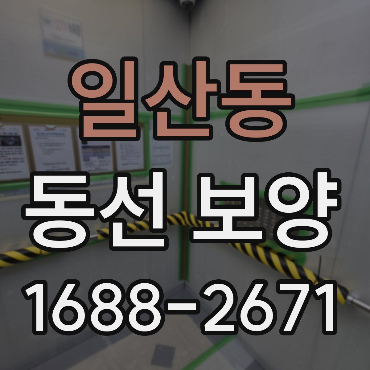 일산동 동선 보양