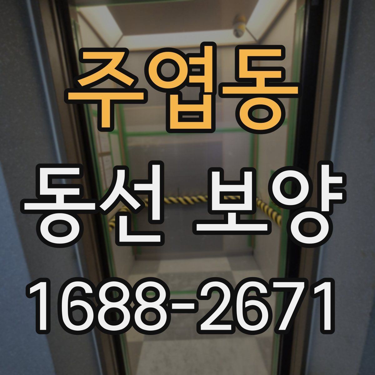 주엽동 동선 보양 시 주의해야 할 안전과 동선 관리