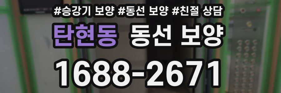 탄현동 동선 보양