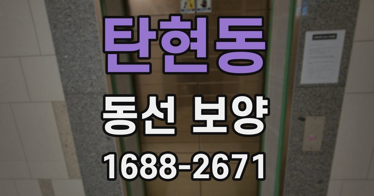 탄현동 동선 보양