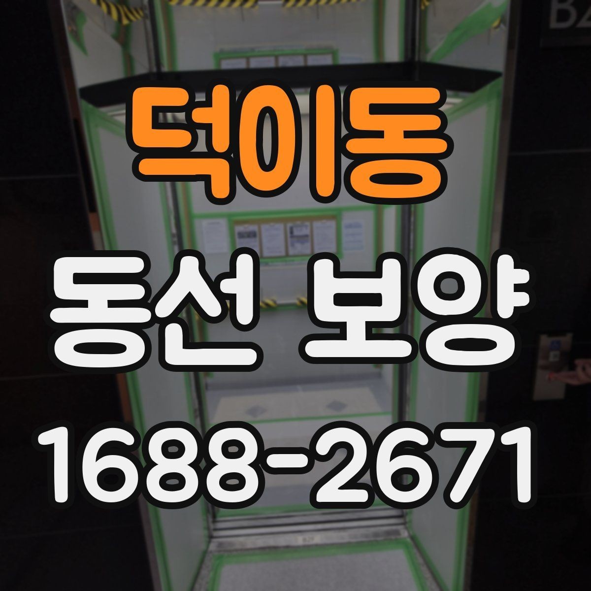 덕이동 동선 보양 현장별로 달라지는 작업 포인트