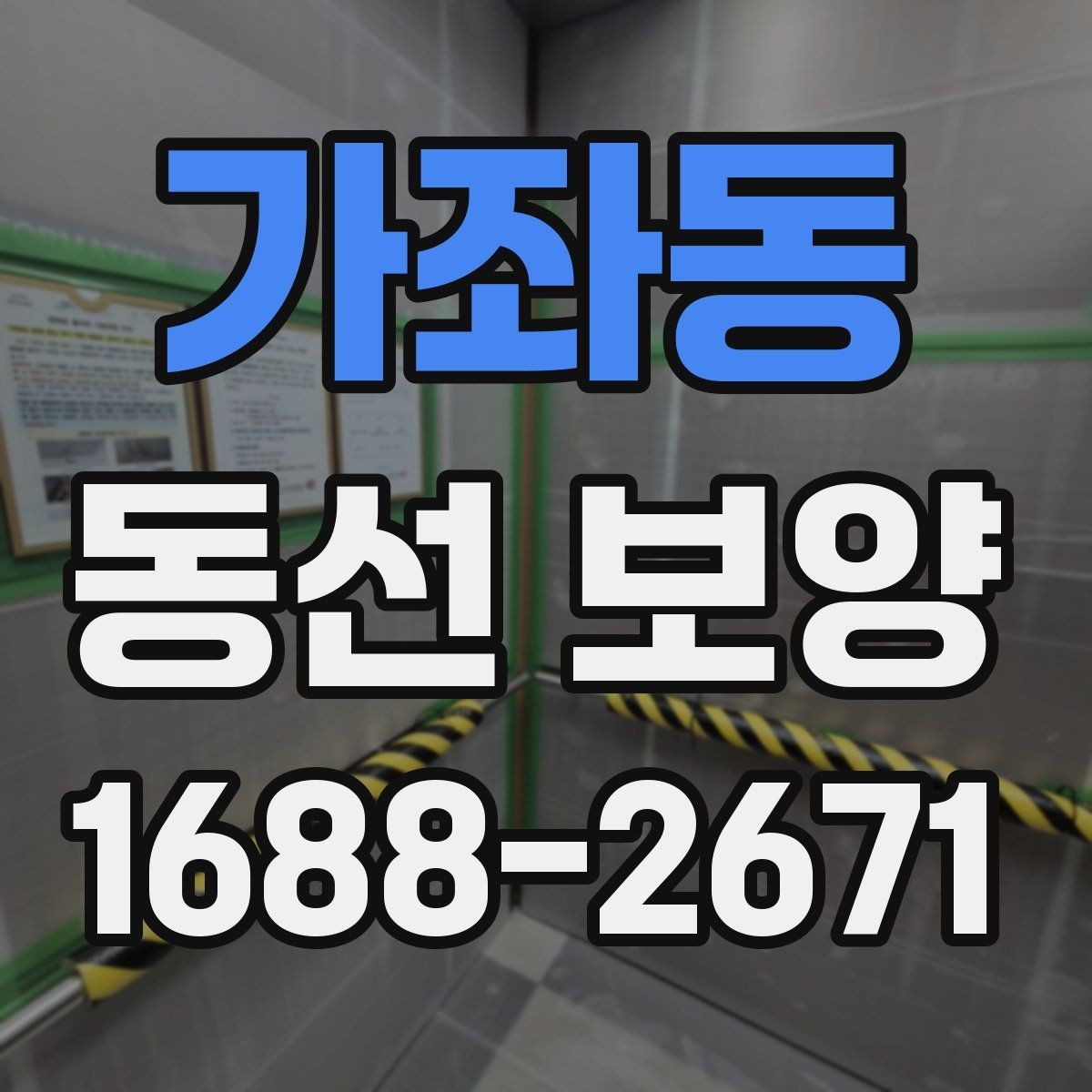 가좌동 동선 보양 작업 전후로 비교해 보는 변화