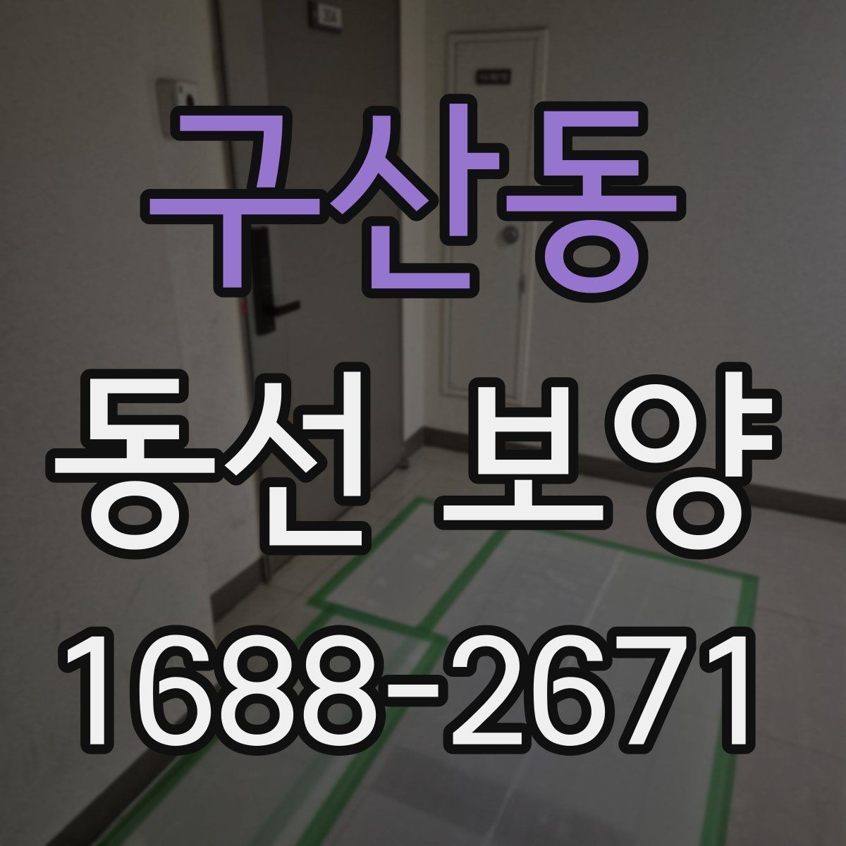 구산동 동선 보양 진행 과정에서 반복되는 실수
