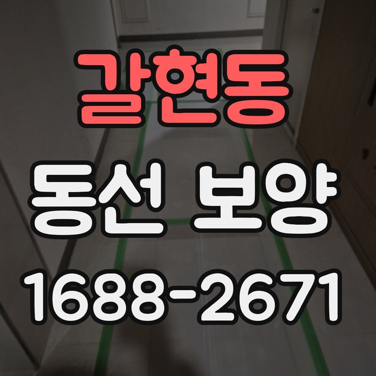 갈현동 동선 보양 작업 후 손상 예방을 위한 관리법