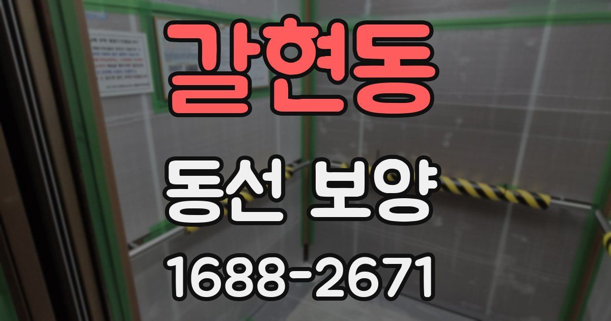 갈현동 동선 보양