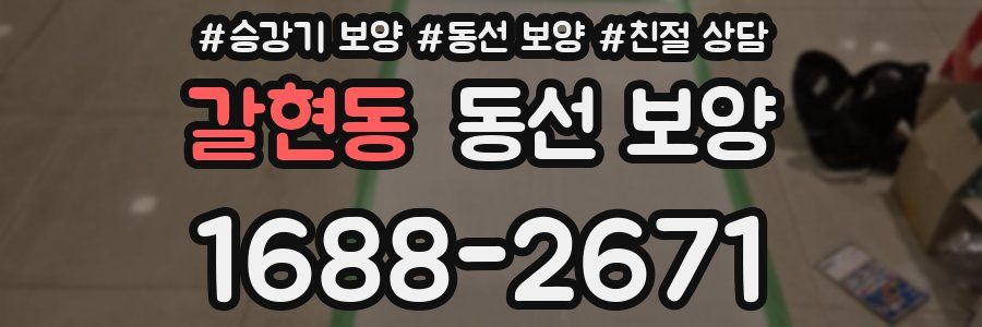 갈현동 동선 보양